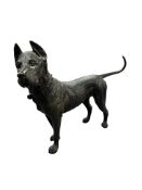 A bronze study of a standing hound, indistinctly signed to the underside, 15cm high.