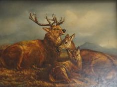 After Robert Henry Rowe, Stag and Deer, bears signature, oil on board, 29 x 39cm