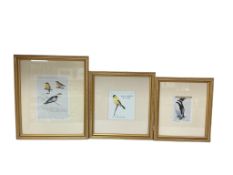 After Sir Peter Markham Scott, three limited edition prints to include ‘American Goldfinch’, each