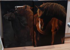 Susan Tyler, thoroughbred horses, monogrammed, a pair of acrylics on canvas, inscribed verso,