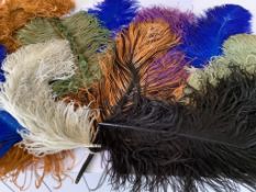 Nine large coloured Ostrich feathers and a collection of black and white feathers, together with a