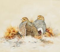 Ian Bowles (1947-2018), Partridges in snow, signed, watercolour heightened with white, 30 x 35cm