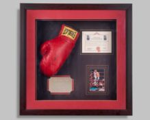 Roy Jones Jr autographed red Everlast boxing glove display