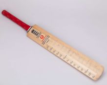 England v. Australia NatWest series 2009 autographed cricket bat