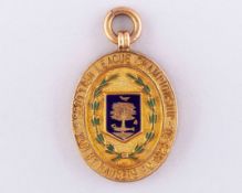 Dougie Gray 9ct gold and enamel Scottish League Championship winners medal, 1929-30