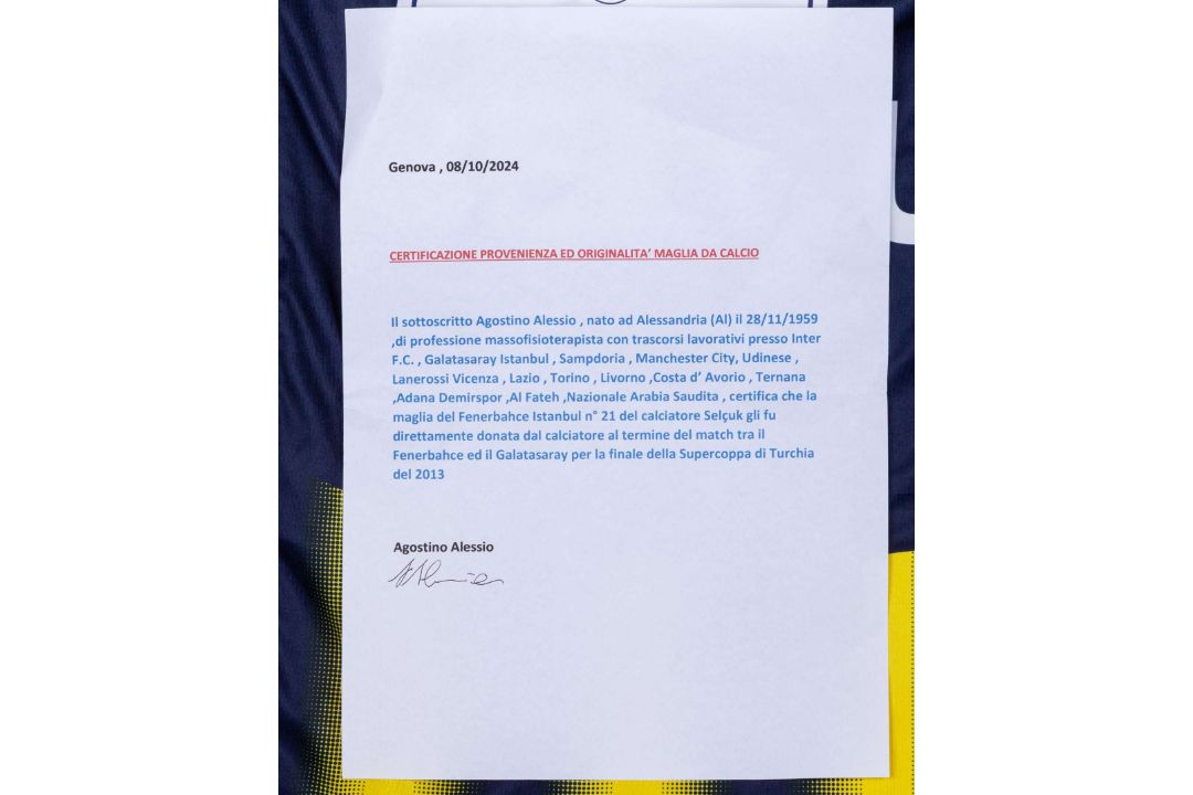 Selcuk Sahin blue and yellow No.21 Fenerbahce v. Galatasaray match issued shirt, 2013 - Image 9 of 10