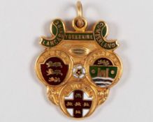 Colin Greenwood 9ct gold and enamel Rugby League Challenge Cup Winners medal, 1961-62