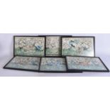 Chinese School (Late 19th Century) 6 x Pith watercolours, Birds in a landscape. 32 cm x 22 cm.
