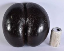 A LARGE COCO DE MER NUT. 26 cm x 24 cm.