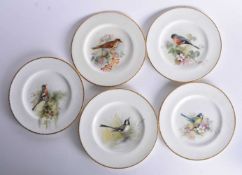 Royal Worcester set of five ornithological plates painted with five different birds titled verso,