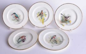 Royal Worcester set of five ornithological plates painted with five different birds titled verso,