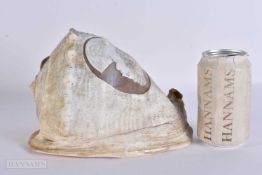 A FINE LARGE 19TH CENTURY GRAND TOUR CARVED CAMEO CONCH SHELL. 21 cm x 15.5 cm.