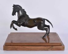 AN 18TH/19TH CENTURY GRAND TOUR BRONZE FIGURE OF A REARING HORSE in the manner of Francesco Fanelli.