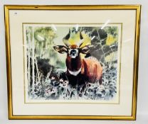 A FRAMED AND MOUNTED LIMITED EDITION 90/500 PRINT DEPICTING A 