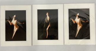 A GROUP OF 3 LIMITED EDITION ABSTRACT NUDE STUDIES BEARING PENCIL SIGNATURE MICKY THOMPSON.