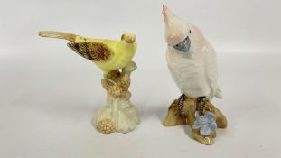 A ROYAL DUX PORCELAIN YELLOW WARBLER 359 STUDY + A ROYAL DUX PARROT 348 STUDY, H 18CM.
