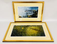 DAVID MILLER: PRINT OF PIKE, 29 X 57CM, PENCIL SIGNATURE TO BORDER ALONG WITH BASS IN THE KELP,