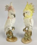 A PAIR OF ROYAL DUX PORCELAIN COCKATOO FIGURES, 402 FEATURING A PINK & YELLOW CREST, H 41CM.