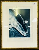 A FRAMED AND MOUNTED LIMITED EDITION 156/750 PRINT TITLED 