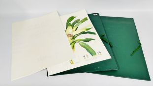 TWO BRAZILIAN BROMELIADS LIMITED EDITION FOLIOS BY MARGARET MEE, NUMBERS 219 AND 430/500.