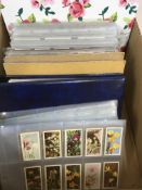 CIGARETTE CARDS: BOX WITH CIG / TRADE CARDS ON LEAVES AND IN VARIOUS BINDERS, SETS, PART SETS,
