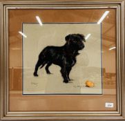 CATHERINE SHARPLEY SIGNED PASTEL PAINTING OF A TERRIER CALLED BILLY, 34CM X 38CM F & G.