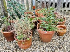 GROUP OF 13 LARGE TERRACOTTA GARDEN PLANTERS, LARGEST 36CM TALL.
