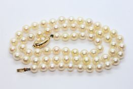 A CULTURED PEARL NECKLACE WITH A CLASP STAMPED 375 IN A PRESENTATION BOX MARKED MIKIMOTO.