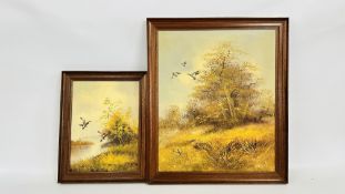 TWO FRAMED OIL ON CANVAS PICTURES DEPICTING DUCKS IN FLIGHT BEARING SIGNATURE 