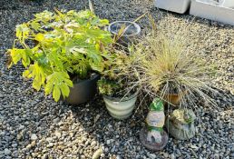 A GROUP OF ASSORTED GARDEN PLANTERS TO INCLUDE TERRACOTTA, GLAZED, SLATE EFFECT ETC.