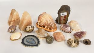 A GROUP OF CARVED SHELLS ALONG WITH SHELL TRINKET BOXES AND MINERAL SAMPLES.