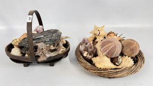 A VINTAGE TRUG & A WICKER BASKET CONTAINING A COLLECTION OF SHELLS AND SEA URCHINS.