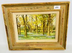 AIDAN KIRKPATRICK: OIL PAINTING ON BOARD: BLUEBELLS IN A WOOD; SIGNED, W 27 X H 19CM.