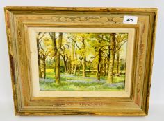 AIDAN KIRKPATRICK: OIL PAINTING ON BOARD: BLUEBELLS IN A WOOD; SIGNED, W 27 X H 19CM.