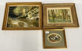 AIDAN KIRKPATRICK: OIL PAINTING ON BOARD: BLUEBELLS IN A WOOD; SIGNED,