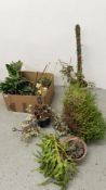 A GROUP OF POTTED INDOOR HOUSE PLANTS TO INCLUDE AN ORCHID ETC.