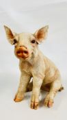 A LIFE SIZE RESIN MODEL OF A PIGLET, H 46CM.