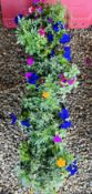 FOUR DISPLAY POTS CONTAINING ASSORTED FLOWERS / PLANTS.