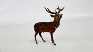 A VINTAGE COLD PAINTED BRONZE STAG, H 8.5CM.