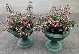 2 X 15 INCH URNS - MAINLY FUCHSIAS.
