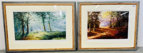 2 X FRAMED AND MOUNTED LIMITED EDITION SIGNED PRINTS INDISTINCT SIGNATURE TO INCLUDE 'MORNING MIST'
