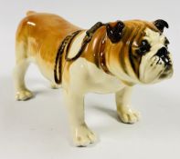 AN IMPRESSIVE USSR PORCELAIN BULLDOG STUDY, H 15 X L 28CM.