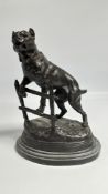 A REPRODUCTION BRONZED SCULPTURE OF A MASTIFF CLIMBING A FENCE, H 32CM.