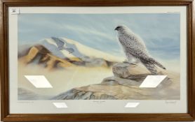 A FRAMED LIMITED EDITION PRINT 371/550 TITLED 