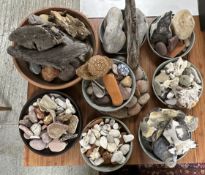 A LARGE GROUP OF ASSORTED STONES, ROCKS, FLINT, SHELLS AND WOOD TO INCLUDE SEA URCHINS ETC.
