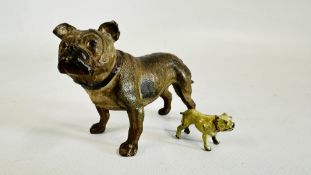 A VINTAGE COLD PAINTED BULLDOG STUDY + A FURTHER MINIATURE EXAMPLE.