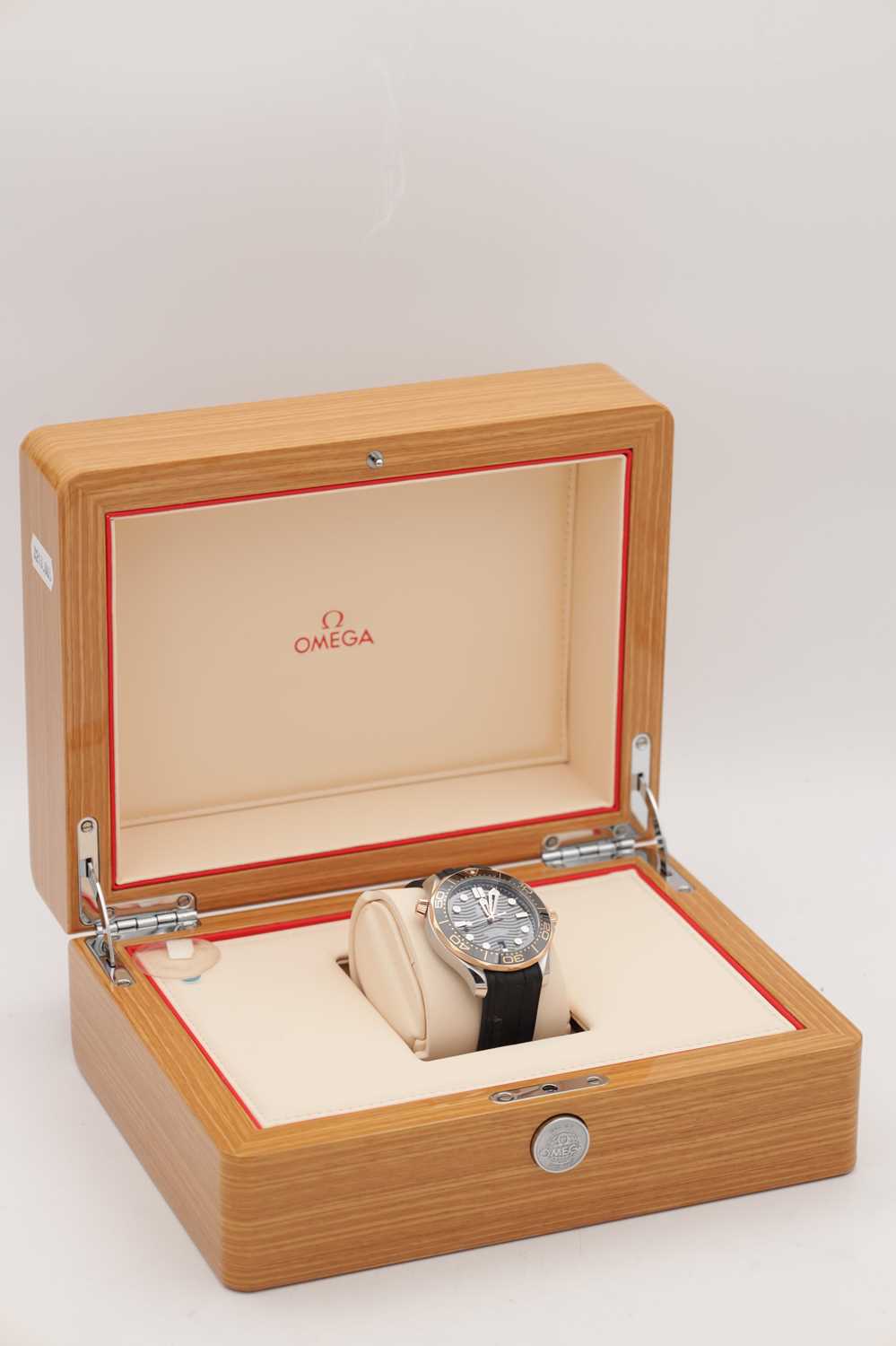A GENTLEMAN'S STEEL AND SEDNA GOLD OMEGA SEAMASTER DIVER 300 WRIST WATCH - Image 6 of 10