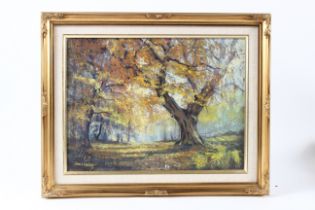 DAVID IREDALE 'Autumn Joy Burnham Beeches' gouache signed 29.5 x 39.5cm