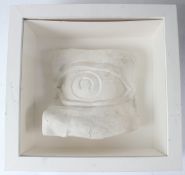 SIR EDUARDO PAOLOZZI (1924-2005) Eye plaster relief in glazed case overall 33 x 34cm