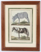 CONTINENTAL SCHOOL (EARLY 19TH CENTURY) Donkey and pony coloured engraving 33 x 22cm